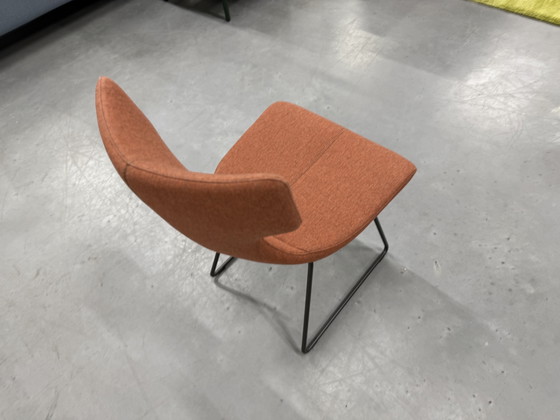 Image 1 of (1) Leolux Callas Artisan dining chair Feltwool