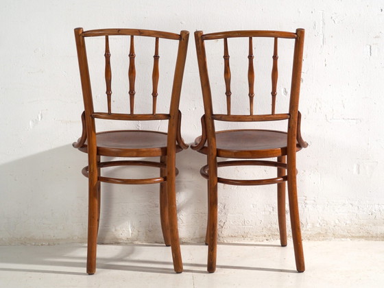 Sedie antiche in legno curvato stile Thonet – Europa Centrale, c. 1930 – Set di 4 #8 – Sedie da pranzo (photo 34 of 40)