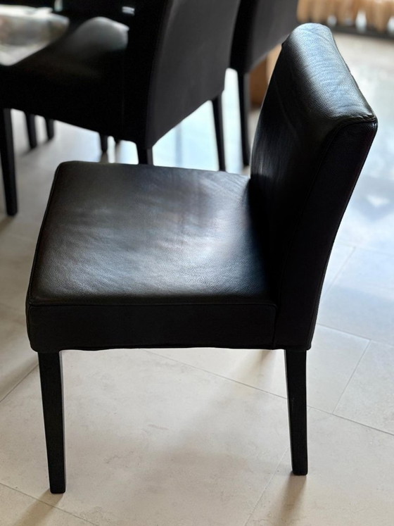 6 Sillas de comedor de cuero – 6 Blaze lederen stoelen donkerbruin (Bodeo Café), Wood, Leather (photo 5 of 5)