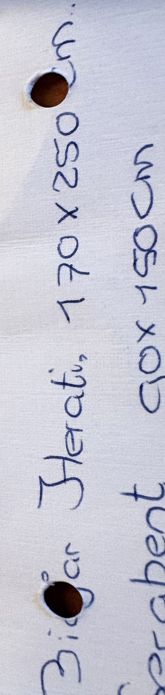 Image 1 of Persian rug (carpet)