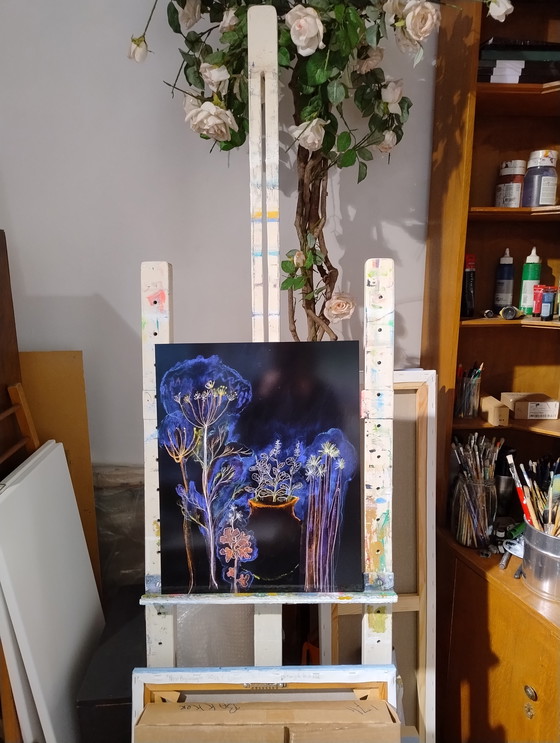 Image 1 of Jardin nocturne