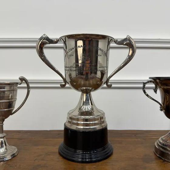 Set aus 3 klassischen englischen Trophäen, Dekorative Objekte (Foto 7 von 9)