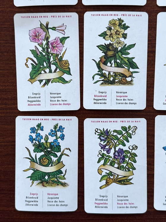 Image 1 of Vintage Bloemenkwartet Jeu de Fleurs - Diabolo 1964 – compleet