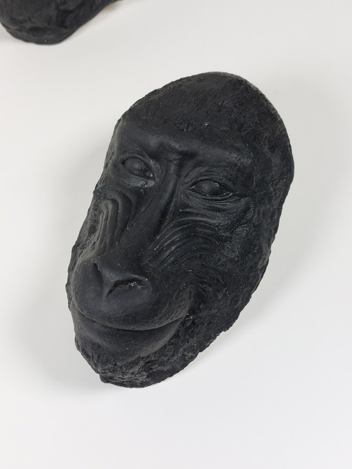 Paire de masques mortuaires rares en plâtre, chimpanzé, mandrill, cabinet de curiosités