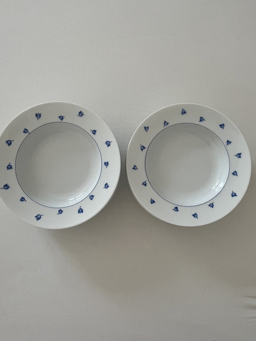 LALIQUE servies Muquet Blue