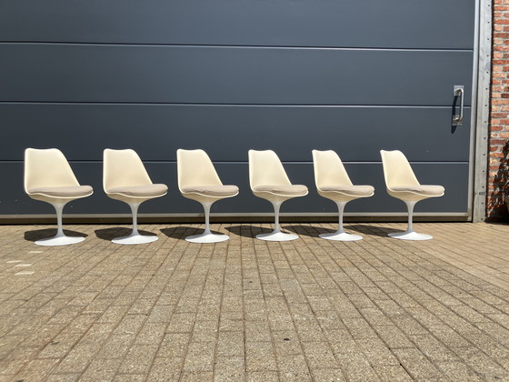 Image 1 of Tavolo ovale Knoll Tulip originale e 6 sedie Knoll Tulip in ottime condizioni!