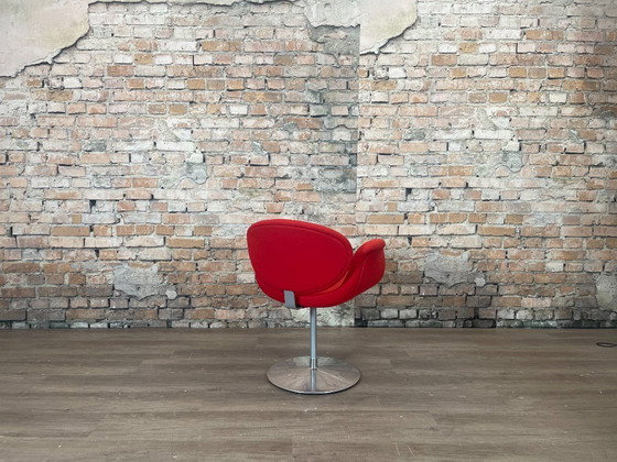 Image 1 of Artifort Little Tulip rosso