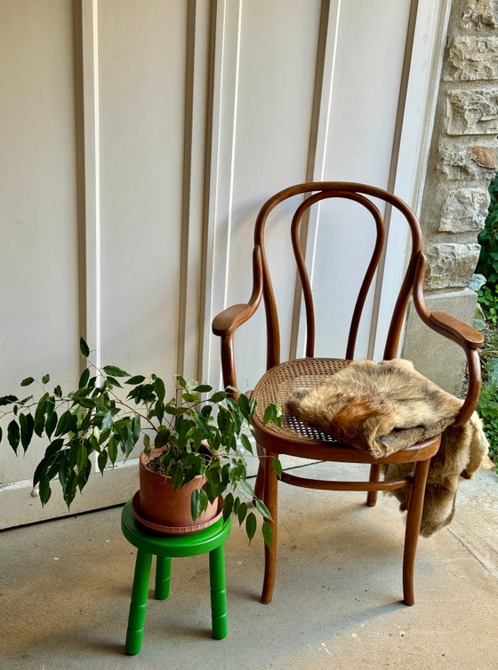 Josef & Jacob Kohn No. 18 Fauteuil en bois courbé et cannage, Marron, Vintage (photo 2 sur 11)