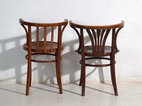 Pair of antique bentwood chairs in the Thonet style – Central Europe, circa 1905 – Dining chairs (photo 32 of 40)