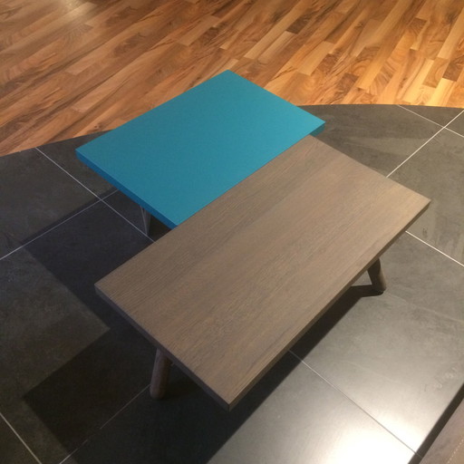 Leolux Pampa coffee table