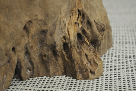Teakhouten wortelkruk, organisch houten bijzettafeltje, rustieke sculpturale boomstronkkruk, vintage – Wood (photo 8 of 17)