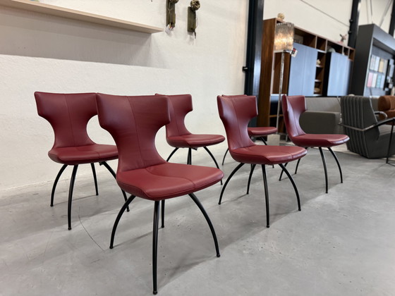 Image 1 of 6 Leolux Callas dining chair Senso Brick