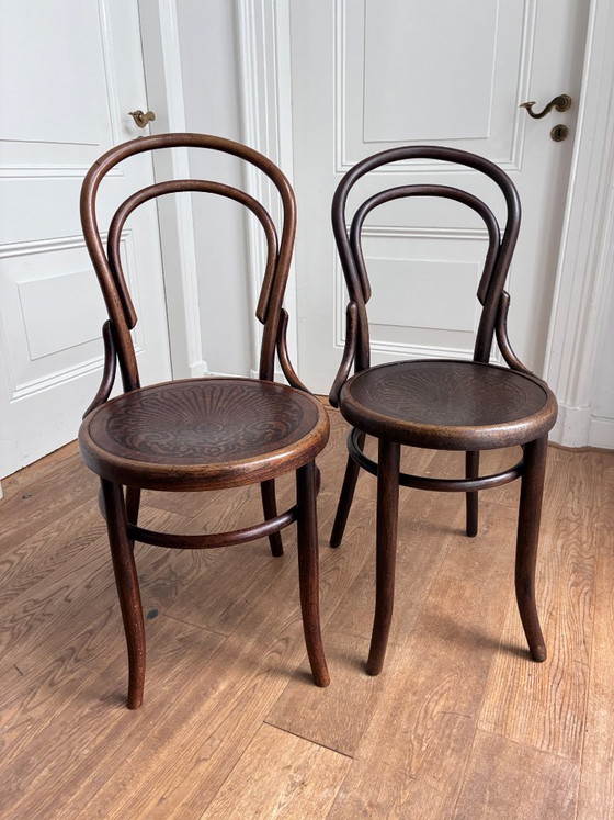set of 6 mix-match Thonet style chairs – Dining chairs, Wood (photo 17 of 17)