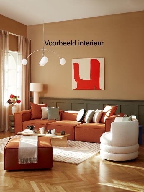 Image 1 of 3 Zitsbank avec Afneembare Bekleding. Couleur terre