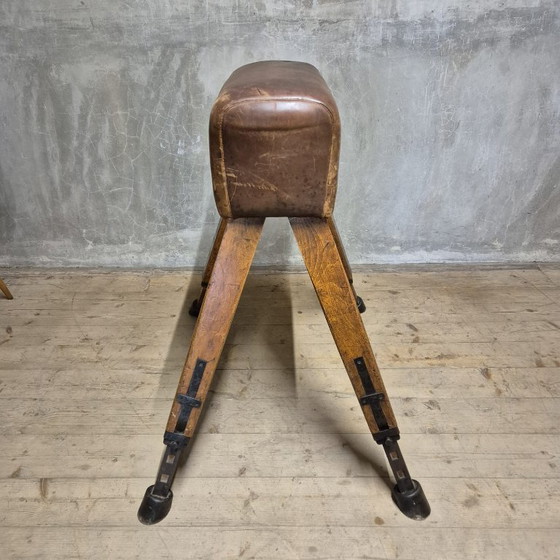 Image 1 of Vintage turnpaard, Tsjecho-Slowakije, jaren 60