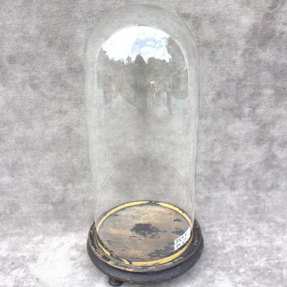 Image 1 of Antique round French Glass dome 13. 58 x 5.91 inch bell jar 34,5 x 15 cm Victorian era cloche taxidermy steampunk Display mouth 