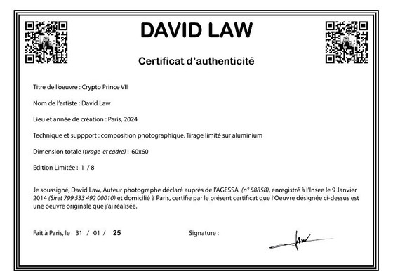 Image 1 of Opera d'arte Crypto Prince VII