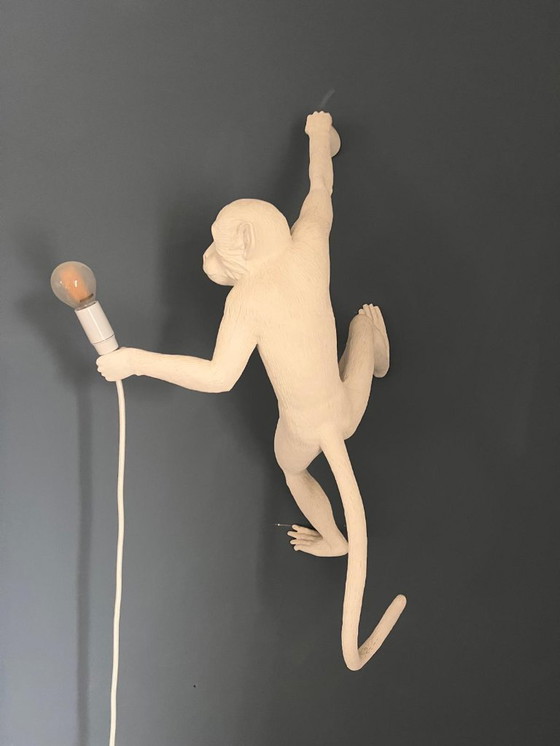 Image 1 of De apenlamp, hangende versie rechts 01