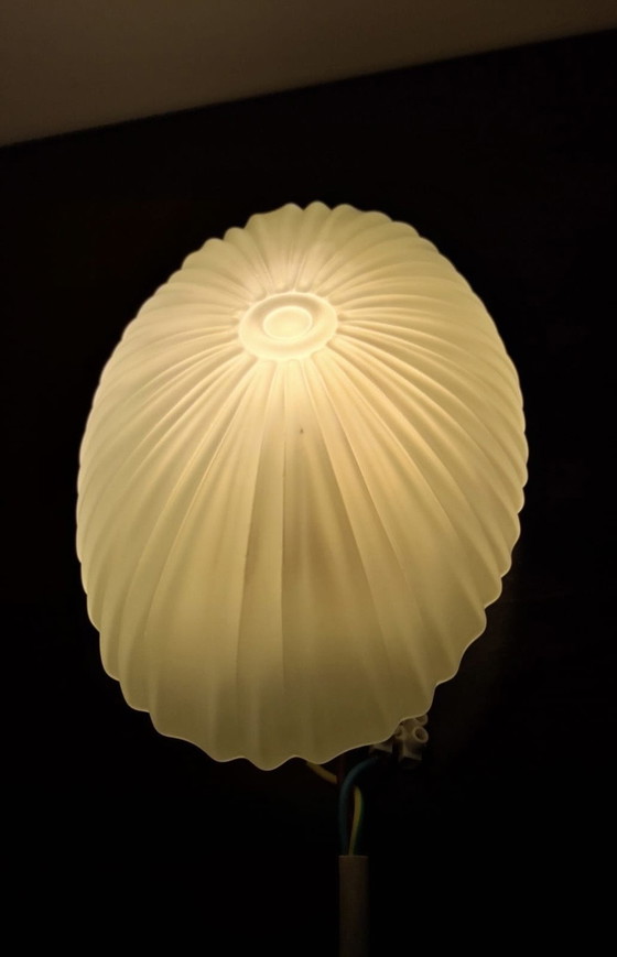 Image 1 of Lámpara de techo Schelpvormige