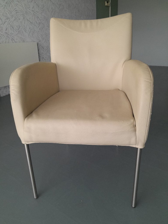 Image 1 of Plantagie Leer wit 6 stuks