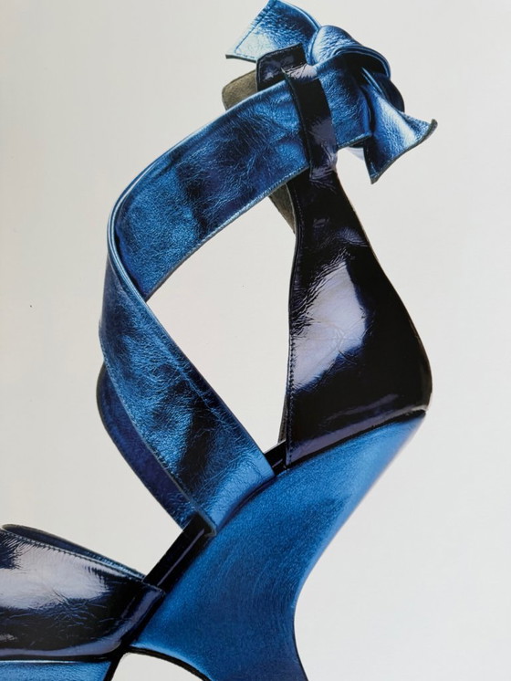Image 1 of Jan Jansen, "Stir my blue blood', 1995, Shoedesigner, Rokin 42, copyright Claude Vanheye and Joost Guntenaar, 2002, Printed in H