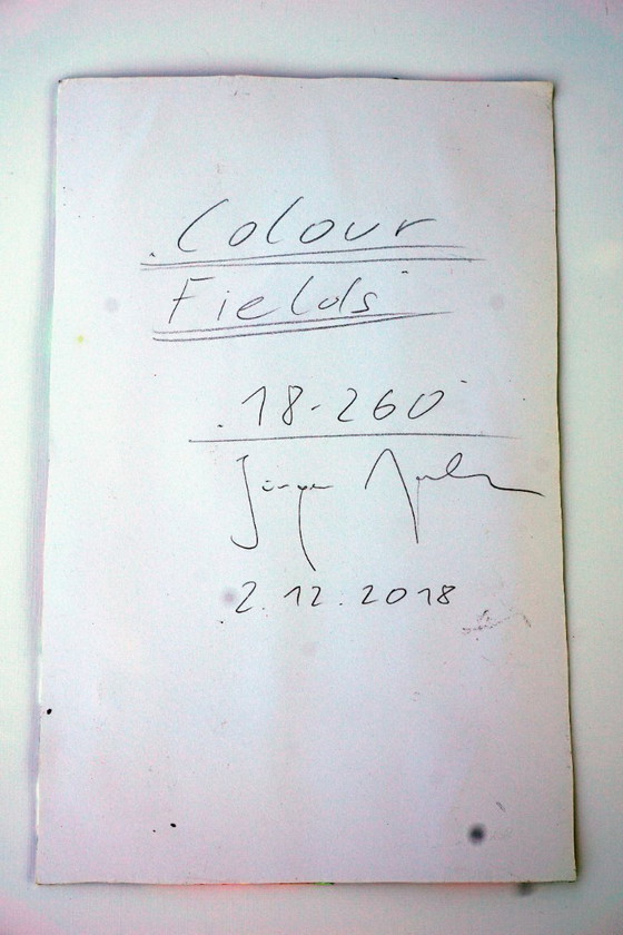 Image 1 of Jürgen Angeler - Campos de color