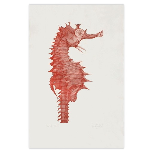 Claude PIECHAUD signierte Radierung Hyppocampe III 1980 – lithos zeefdrukken, Paper (photo 2 of 5)