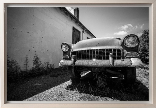 Gloria sbiadita - Virginia 2022