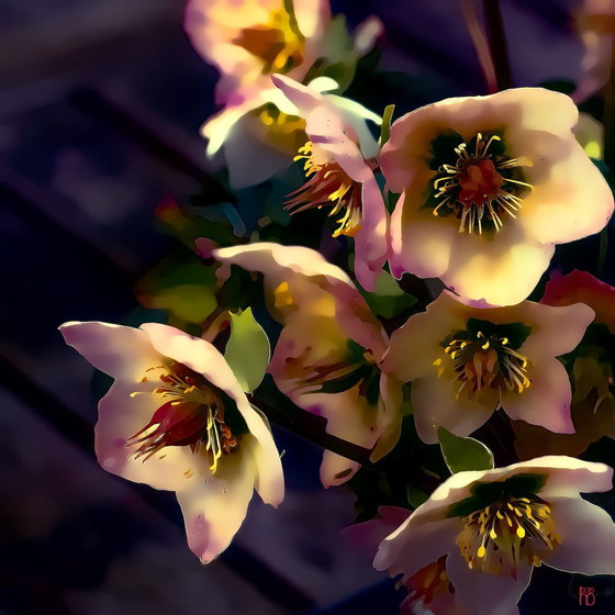 Image 1 of Splendore floreale