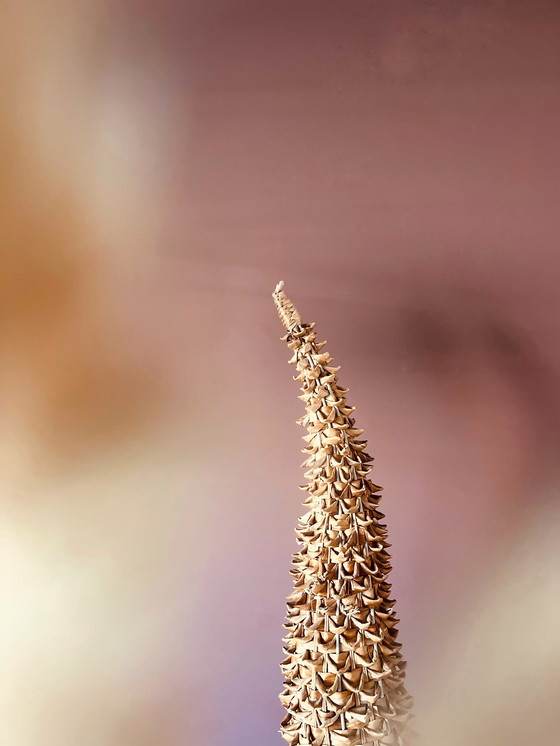 Image 1 of Ukieke Bohemian Lampe