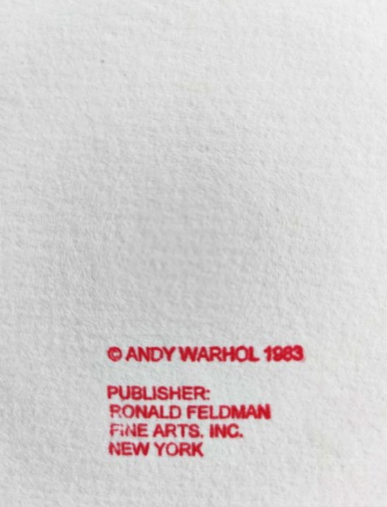 Image 1 of Andy Warhol - Bald Eagle poster