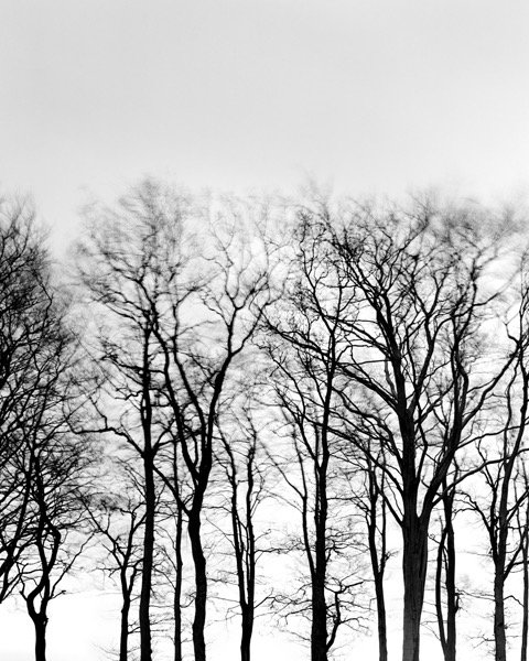 Fryslân / Dreiteilige Fotoserie / 2011 / Persönliche Arbeit – fotografie, Aluminium