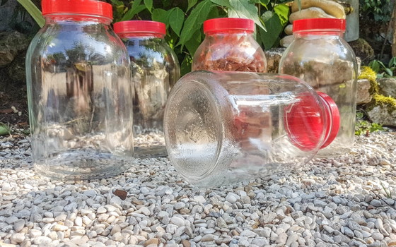 Vintage glass jar, 1950 – Decorative Objects, Plastic (photo 10 of 10)