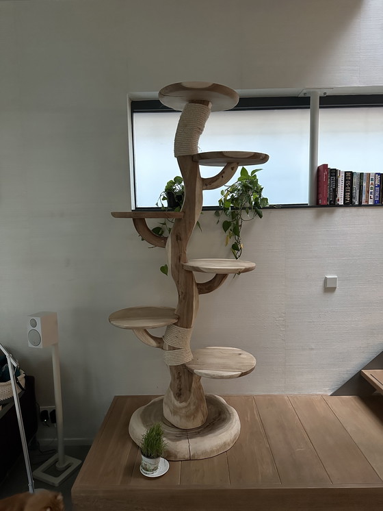 Image 1 of Árbol para gatos de madera, 2 metros de altura.