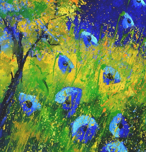 Image 1 of Papaveri blu 67