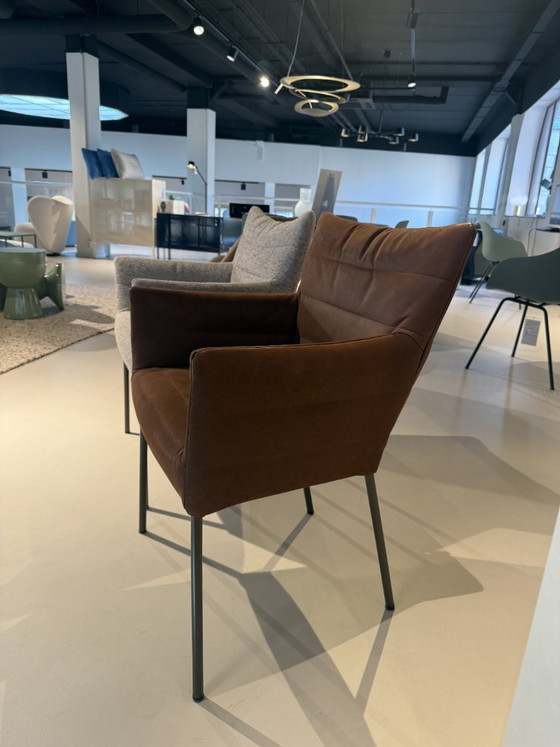 Image 1 of 6 x Label Van den Berg Cocoon eetkamerstoelen