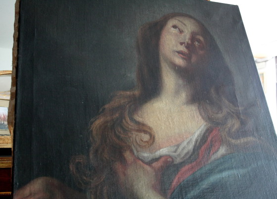 Image 1 of Maddalena penitente, fine del XVII secolo, olio su tela