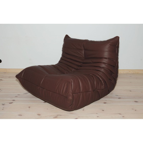 Image 1 of Togo vintage woonkamer set in bruin leer van Michel Ducaroy voor Ligne Roset, 1970