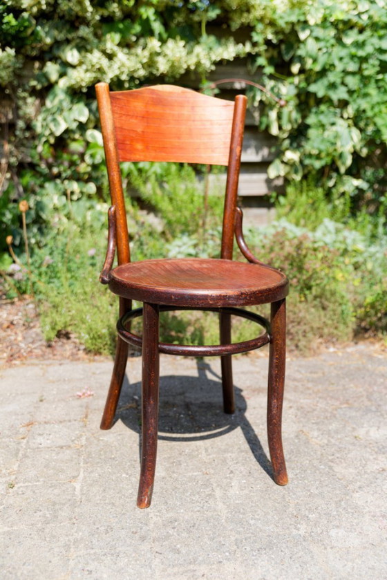 5x Vintage Fischel Thonet-style cafe chairs with pressed seats – Dining chairs, Wood (photo 2 of 18)