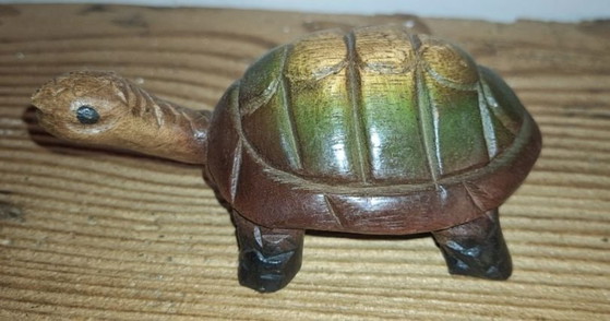 Tartarughe intagliate – Sculture, Legno (photo 4 of 13)