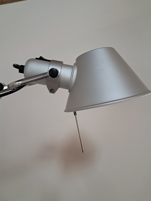 ARTEMIDE TOLOMEO