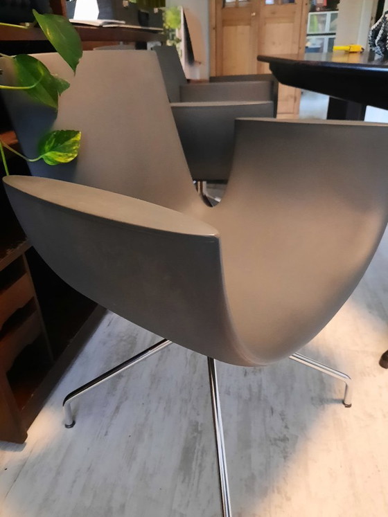 Sintesi Noah Spider Grey – Sillas giratorias, Metal, Plastic (photo 5 of 5)