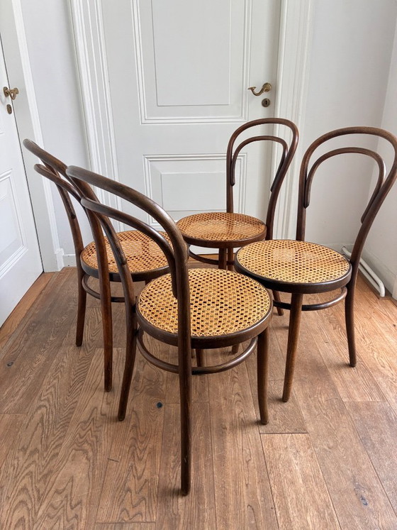 4x Thonet no 14 style chairs with excellent webbing seat, ZPM Radomsko, Dining chairs, Rattan, Wood, Beige (photo 4 of 10)