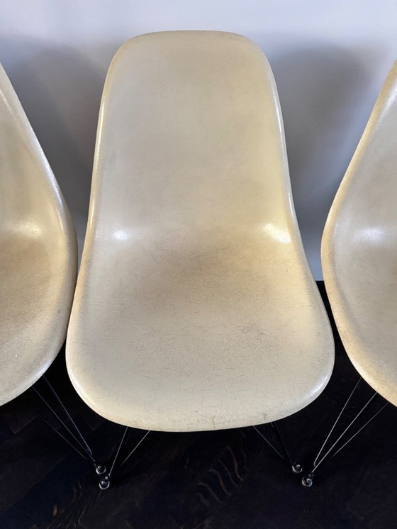 Image 1 of Herman Miller Fiberglas-Esszimmerstuhl DSR