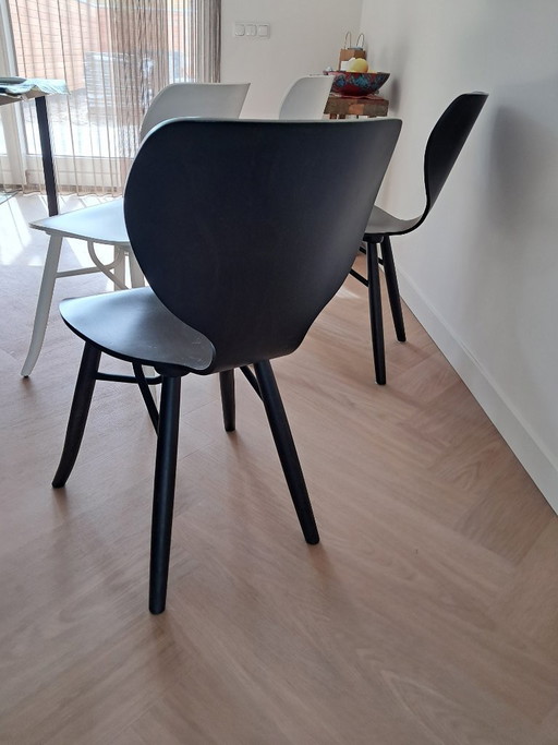 4 X Linteloo Tulipani eetkamerstoelen