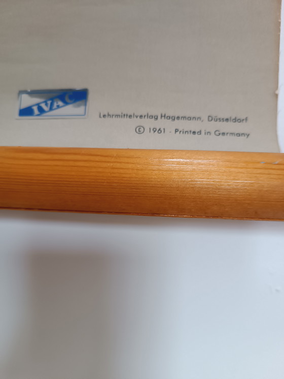 Image 1 of Vintage School Wall Chart - Child Development