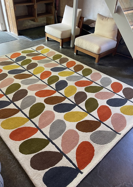 Image 1 of Brink and Campman Orla Kiely Classic Multi Stem