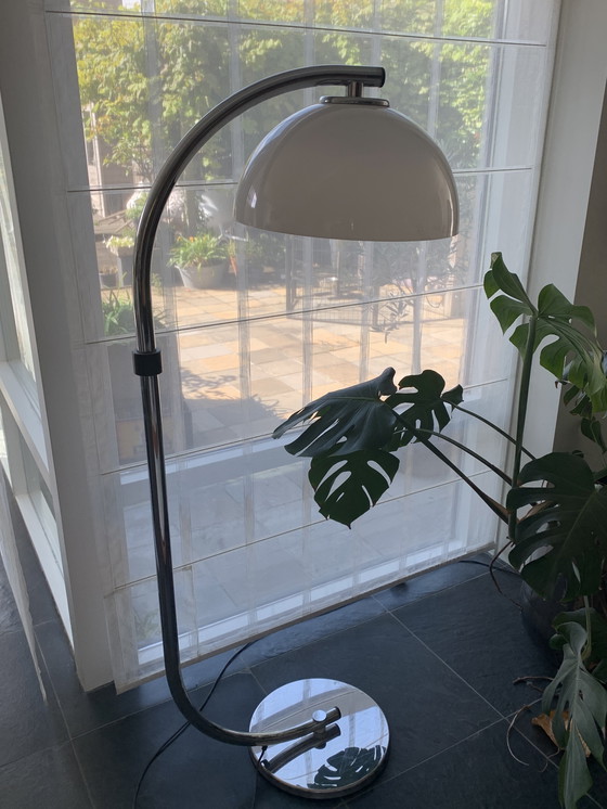 Image 1 of Séances de la lampe serpent Dijkstra