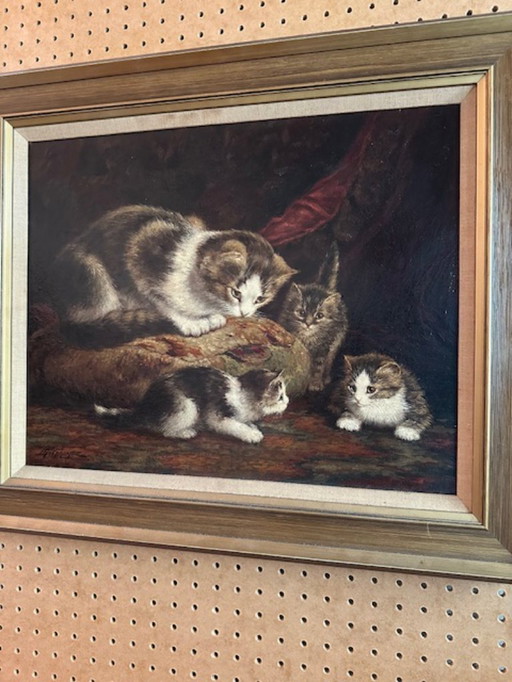 moederpoes,drie kittens