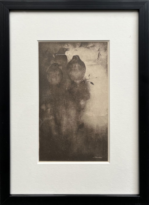Jan Mankes Original Heliogravüre Drosseln in Abendstimmung